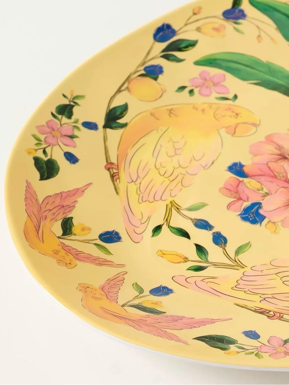 Farm Rio x Anthropologie Melamine Oval Serving Platter Yellow Parrot Tropical